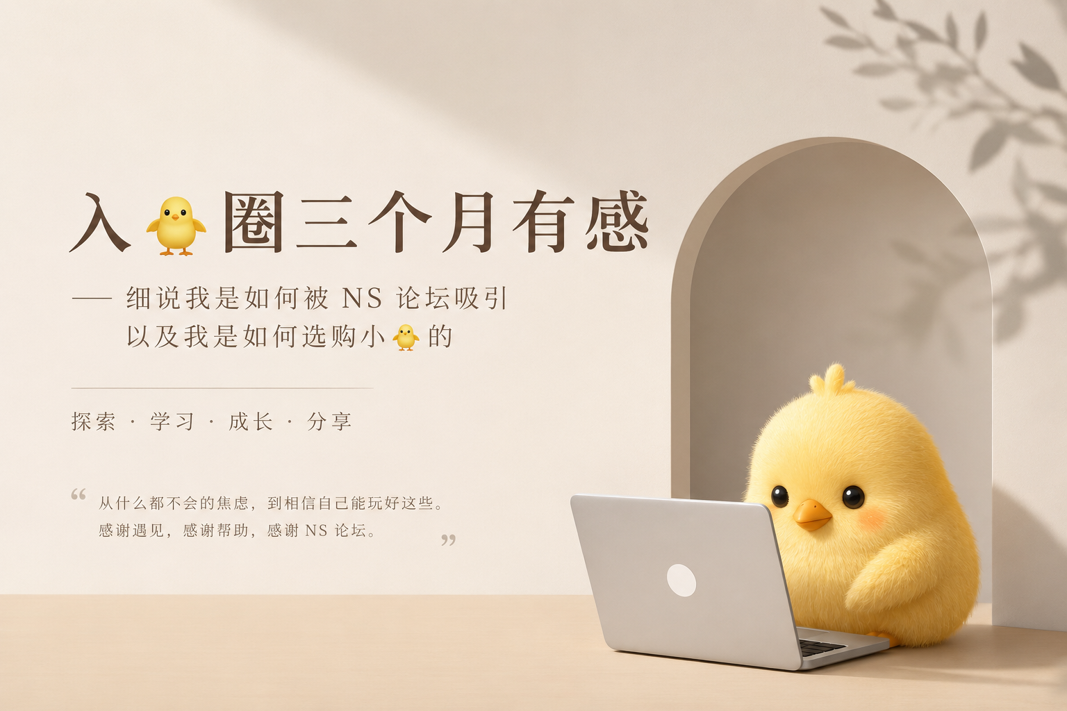 入🐥圈三个月有感｜细说我是如何被 NS 论坛吸引，以及我是如何选购小🐥的